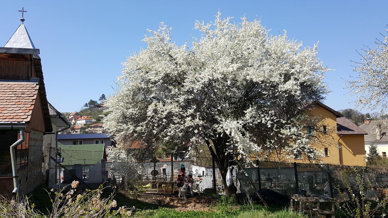 הוסטל בראשוב Mountain Tale מראה חיצוני תמונה