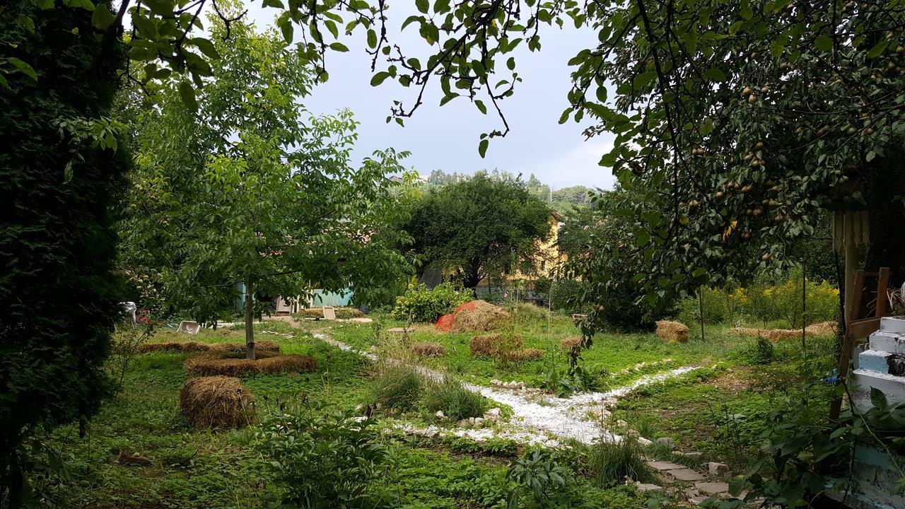 הוסטל בראשוב Mountain Tale מראה חיצוני תמונה
